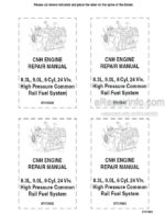 Photo 4 - New Holland CNH 6TAA-8304 6TAA-9004 Repair Manual Engine 87515682