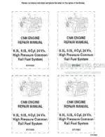 Photo 4 - New Holland CNH 6TAA-8304 6TAA-9004 Repair Manual Engine 87515682