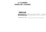 Photo 4 - David Brown Service Manual 3 Cylinder Gasoline Engine For 3800 4600 Selematic Livedrive Tractor TP665