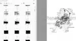 Photo 4 - Iseki TXG237F3 Parts Catalog Tractor